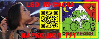 спайс Кандалакша