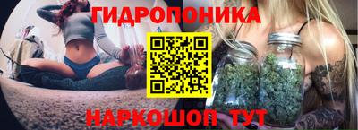марихуана Камышлов