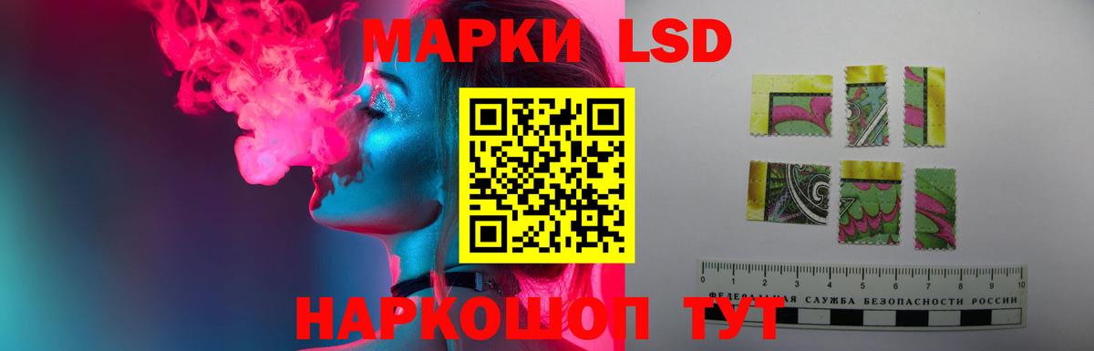 Гатчина  Лсд 25 экстази кислота  Лсд 25 экстази кислота  Вход с VPN 