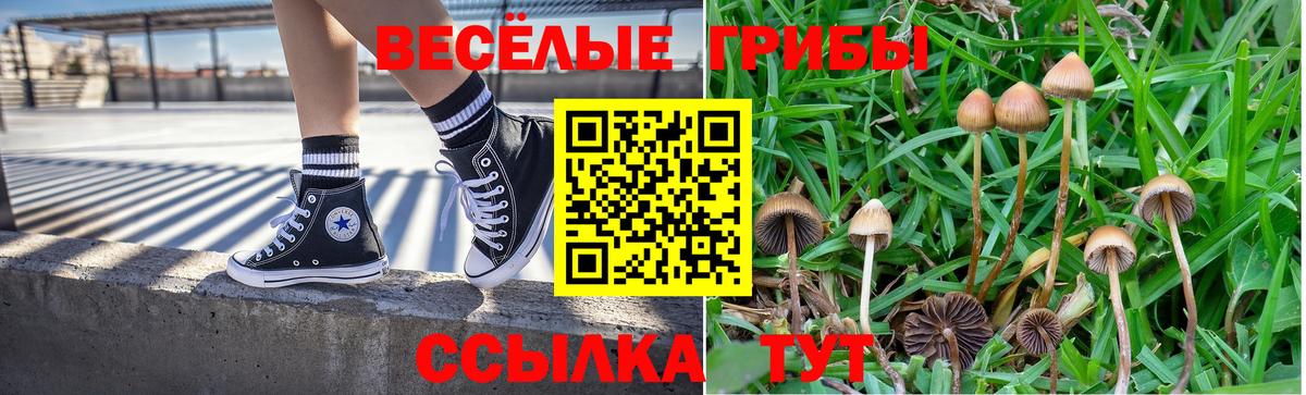 Галлюциногенные грибы мицелий  Вход с VPN  Гатчина  Галлюциногенные грибы Psilocybine cubensis 